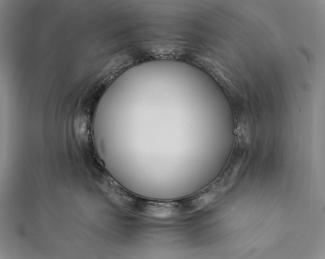 X0000112370671200908271320