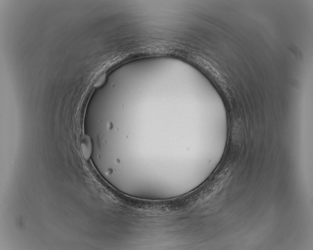 X0000112370673200908271319