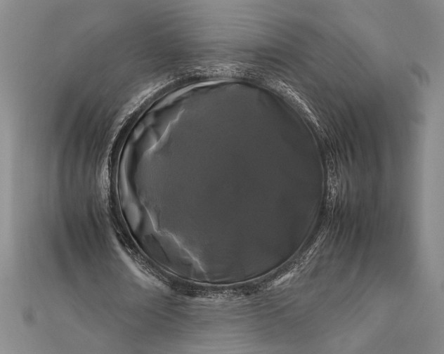 X0000112370674200908271319