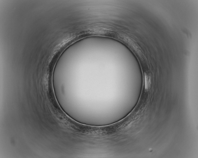 X0000112370675200908271319