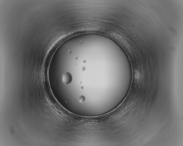 X0000112370676200908271319