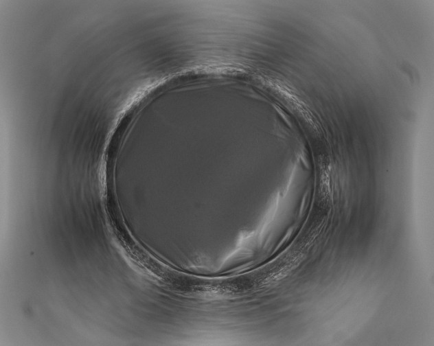 X0000112370678200908271319