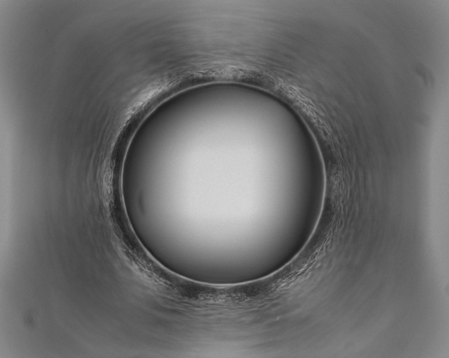 X0000112370679200908271319