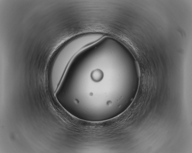 X0000112370680200908271319