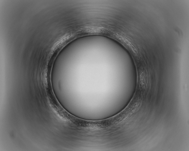 X0000112370682200908271319