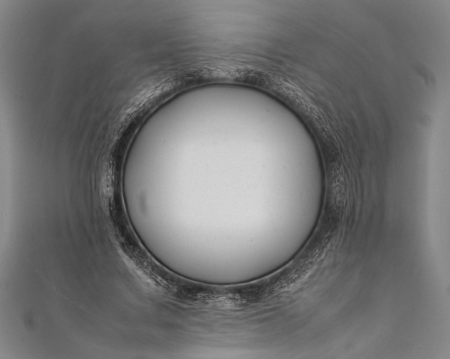 X0000112370683200908271319