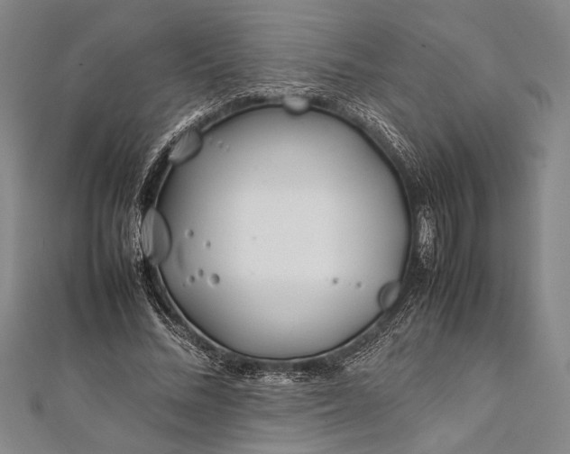 X0000112370684200908271319