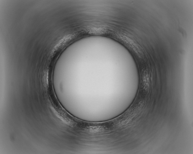 X0000112370686200908271319