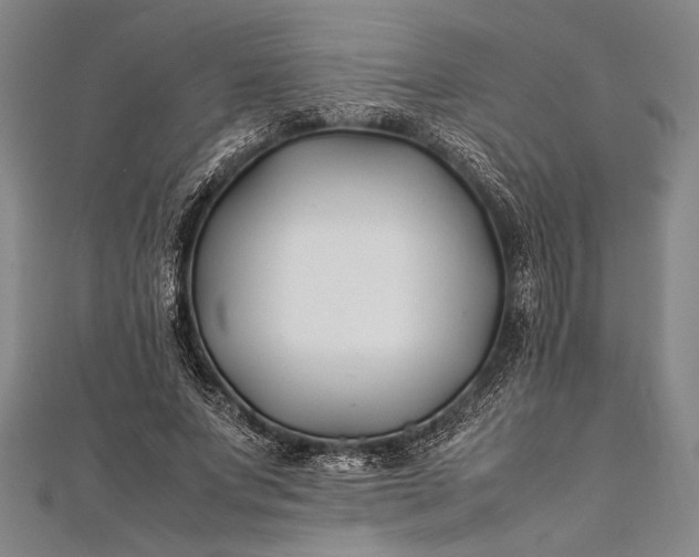 X0000112370687200908271319