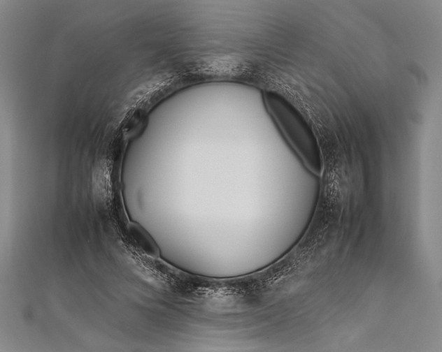 X0000112370688200908271319