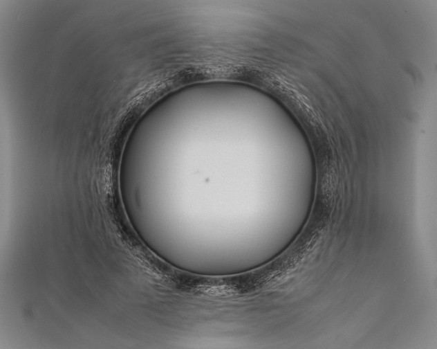 X0000112370689200908271319