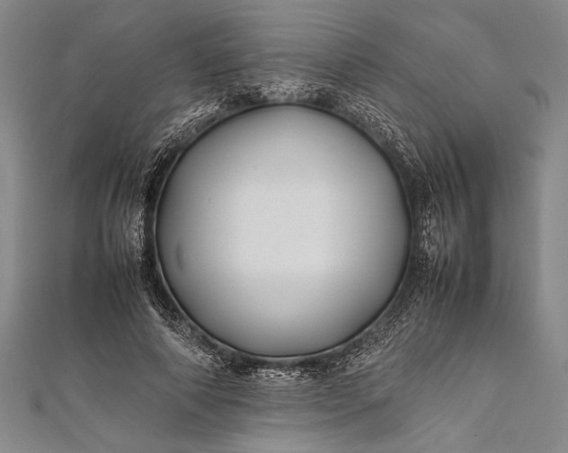 X0000112370690200908271319