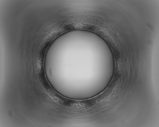 X0000112370691200908271319