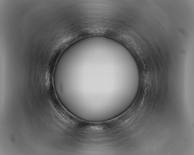 X0000112370692200908271319