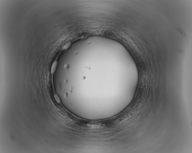 X0000112370693200908271319