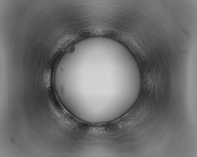 X0000112370694200908271319