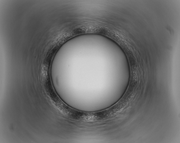 X0000112370695200908271319