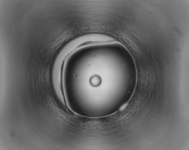 X0000112370696200908271319