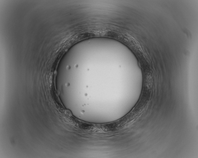 X0000112370697200908271319