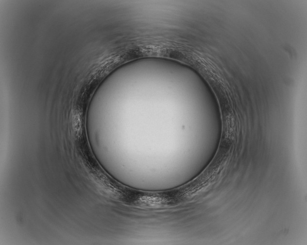 X0000112370699200908271319