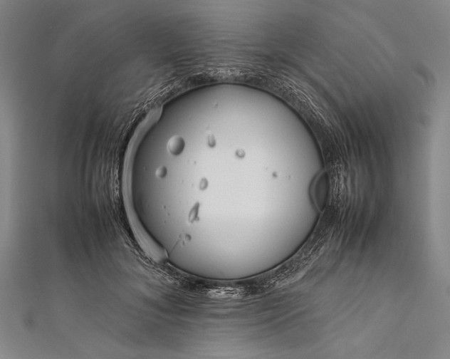 X0000112370700200908271319