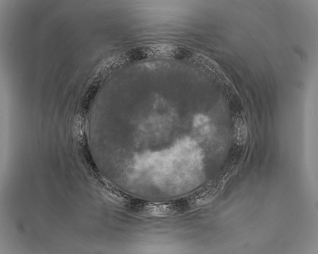 X0000112370701200908271319