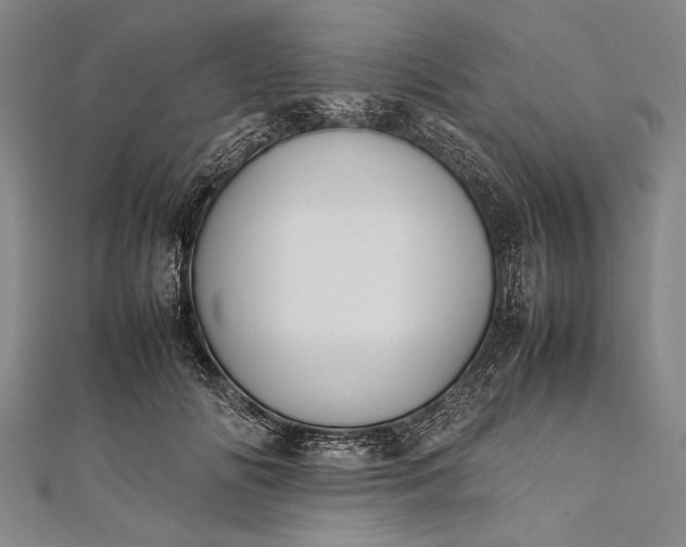 X0000112370702200908271319