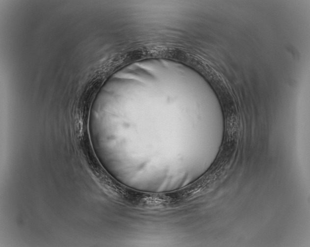 X0000112370703200908271319