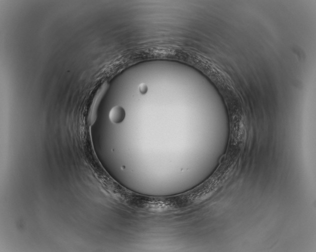 X0000112370704200908271319