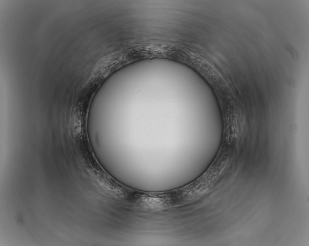 X0000112370706200908271319