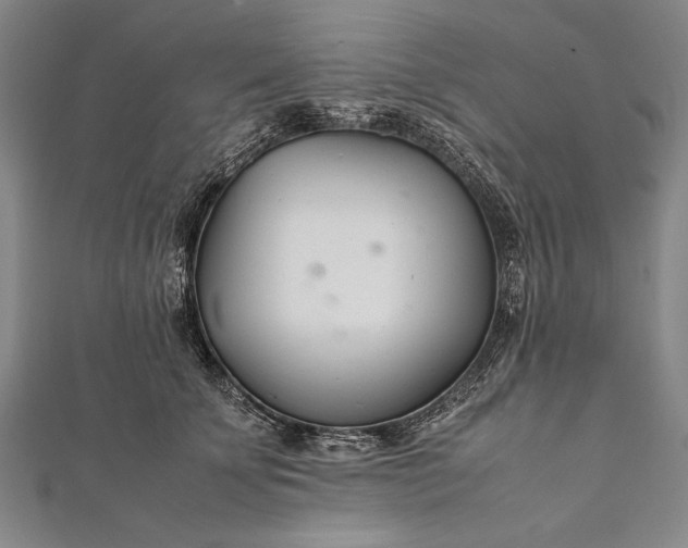 X0000112370707200908271318