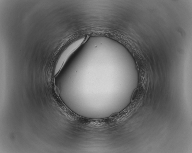 X0000112370708200908271318