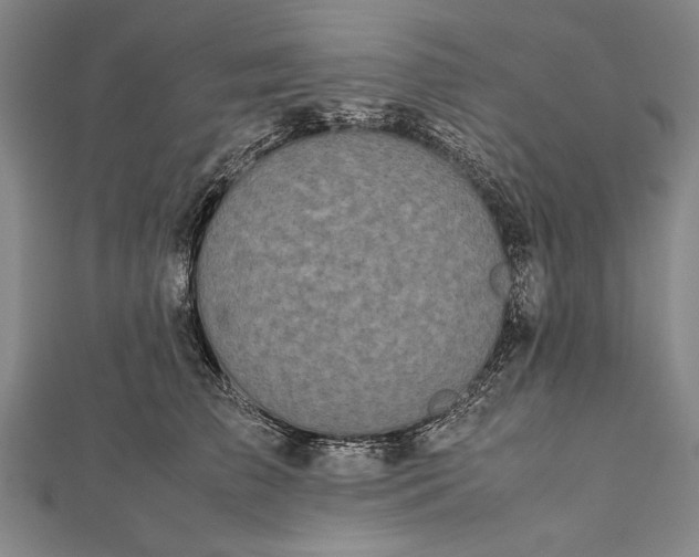 X0000112370709200908271318