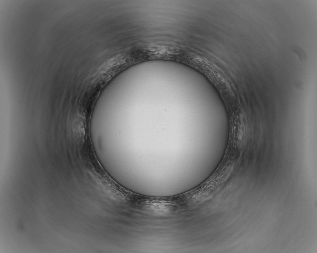 X0000112370710200908271318