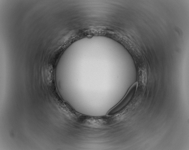 X0000112370712200908271318