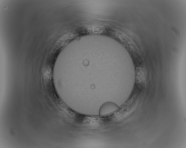 X0000112370713200908271318