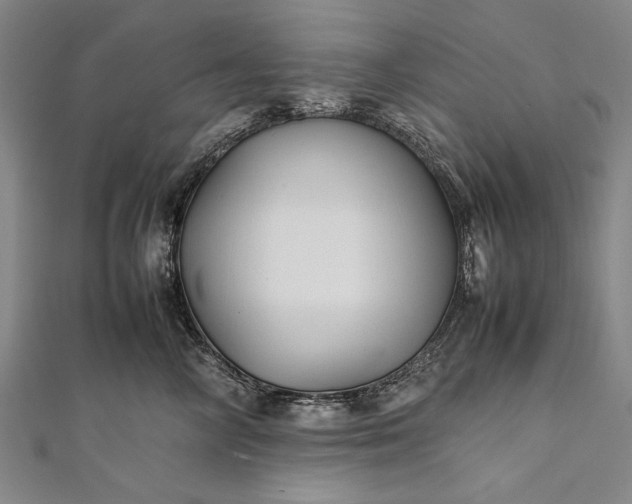 X0000112370714200908271318