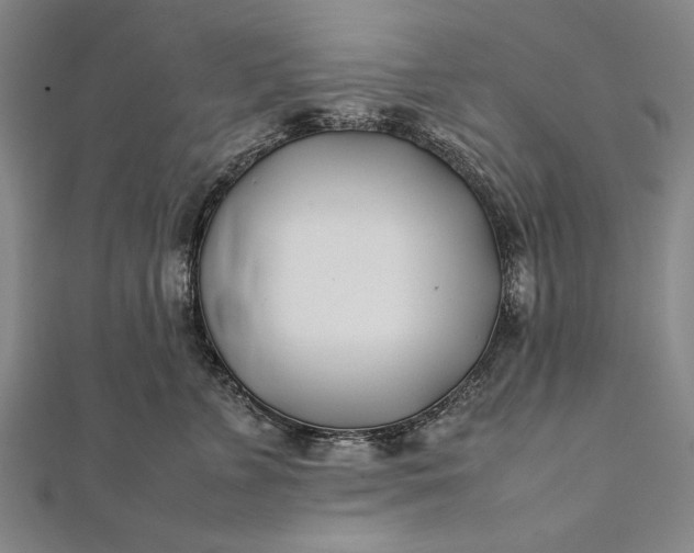 X0000112370715200908271318