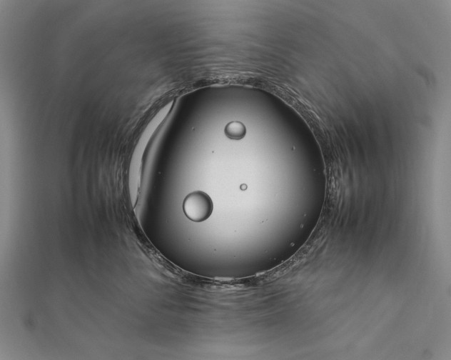 X0000112370716200908271318