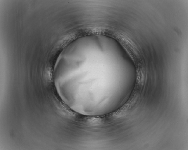 X0000112370718200908271318