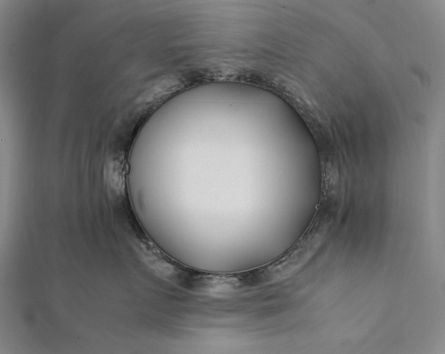 X0000112370719200908271318