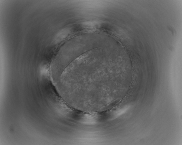 X0000112370720200908271318