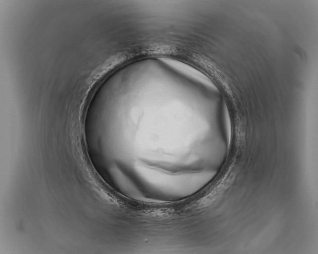 X0000112370721200908271318