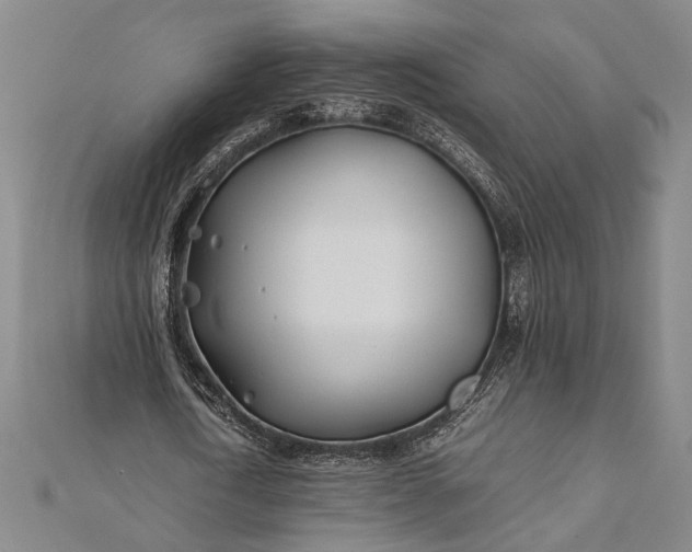 X0000112370722200908271318