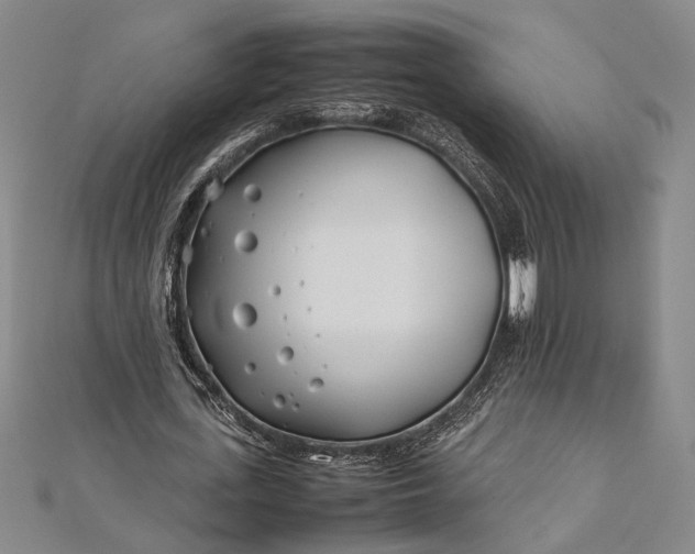 X0000112370723200908271318