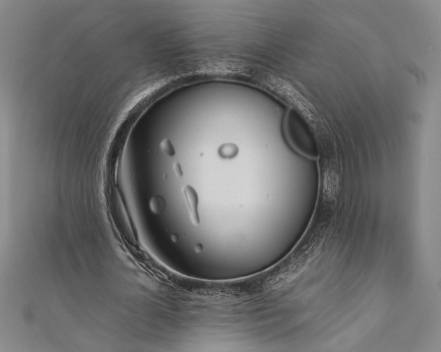 X0000112370724200908271318