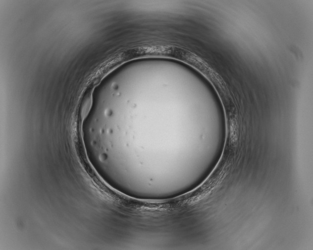 X0000112370725200908271318