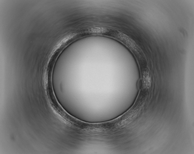 X0000112370726200908271318