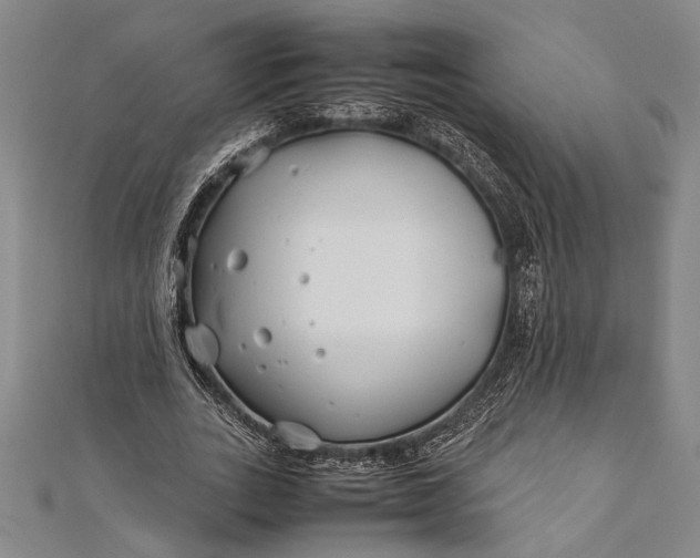 X0000112370727200908271318