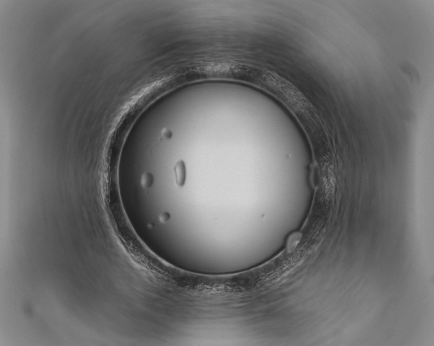 X0000112370728200908271318